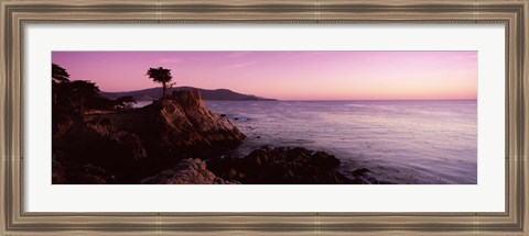 Framed Silhouette of a cypress tree at coast, The Lone Cypress, 17 mile Drive, Carmel, California, USA Print