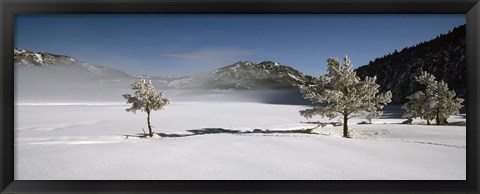 Framed Trees on a snow covered landscape, French Riviera, France Print