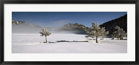 Framed Trees on a snow covered landscape, French Riviera, France Print