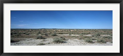 Framed Herd of springboks (Antidorcas marsupialis) grazing in a landscape, Etosha National Park, Kunene Region, Namibia Print