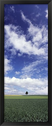 Framed Germany, Baden-Wurttemberg,Single tree in field, clouds Print