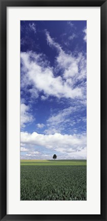 Framed Germany, Baden-Wurttemberg,Single tree in field, clouds Print