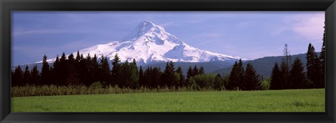 Framed Field with a snowcapped mountain in the background, Mt Hood, Oregon (horizontal) Print