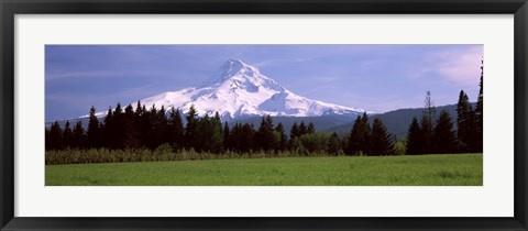 Framed Field with a snowcapped mountain in the background, Mt Hood, Oregon (horizontal) Print