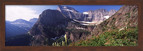 Framed Wildflowers with mountain range in the background, US Glacier National Park, Montana, USA Print
