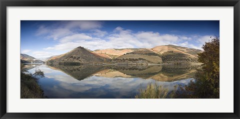 Framed Reflection of Vineyards in the River, Cima Corgo, Duoro River, Portugal Print