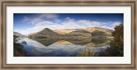 Framed Reflection of Vineyards in the River, Cima Corgo, Duoro River, Portugal Print