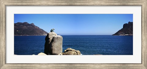 Framed Bronze leopard statue on a boulder, Hout Bay, Cape Town, Western Cape Province, South Africa Print