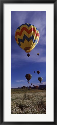 Framed Hot air balloons rising, Hot Air Balloon Rodeo, Steamboat Springs, Colorado Print