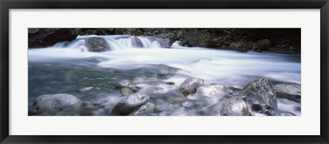 Framed River, Hollyford River, Fiordland National Park, South Island, New Zealand Print