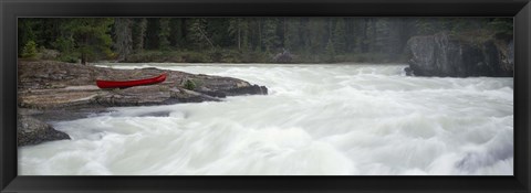 Framed River flowing in a forest, Kicking Horse River, Yoho National Park, British Columbia, Canada Print