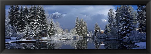 Framed Reflection of tree in a creek, Spring Creek, Mt Rundle, Canmore, Alberta, Canada Print