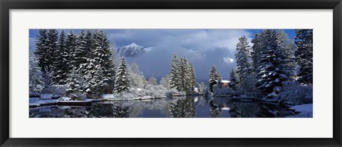 Framed Reflection of tree in a creek, Spring Creek, Mt Rundle, Canmore, Alberta, Canada Print