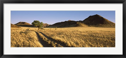 Framed Trails passing through a desert, Namibia Print