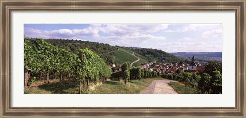 Framed Vineyards, Obertuerkheim, Stuttgart, Baden-Wurttemberg, Germany Print