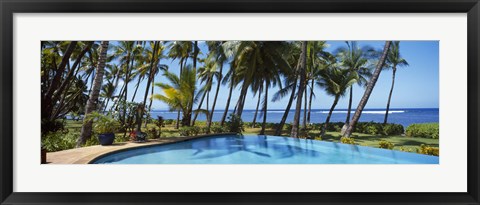 Framed Palm Trees in Maui, Hawaii (horizontal) Print