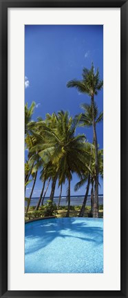 Framed Palm Trees in Maui, Hawaii (vertical) Print