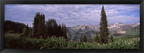 Framed Forest, Washington Gulch Trail, Crested Butte, Gunnison County, Colorado (horizontal) Print