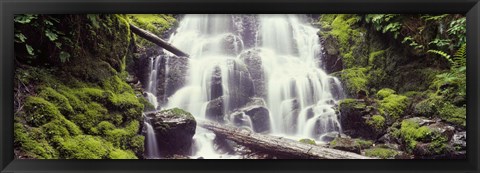 Framed Waterfall in a forest, Waheena Falls, Hood River, Oregon, USA Print