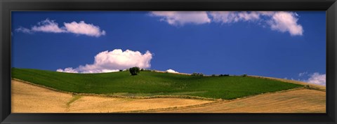 Framed Agricultural field, Ronda, Malaga Province, Andalusia, Spain Print