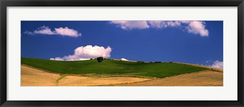 Framed Agricultural field, Ronda, Malaga Province, Andalusia, Spain Print