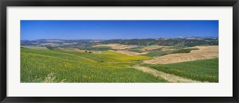 Framed Agricultural fields, Ronda, Malaga, Andalusia, Spain Print