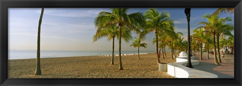 Framed Palm trees on the beach, Las Olas Boulevard, Fort Lauderdale, Florida, USA Print