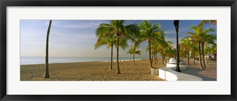 Framed Palm trees on the beach, Las Olas Boulevard, Fort Lauderdale, Florida, USA Print