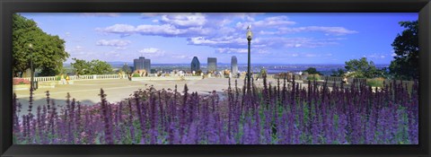 Framed Blooming flowers with city skyline in the background, Kondiaronk Belvedere, Mt Royal, Montreal, Quebec, Canada 2010 Print