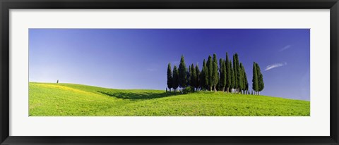 Framed Trees on a landscape, Val D&#39;Orcia, Siena Province, Tuscany, Italy Print