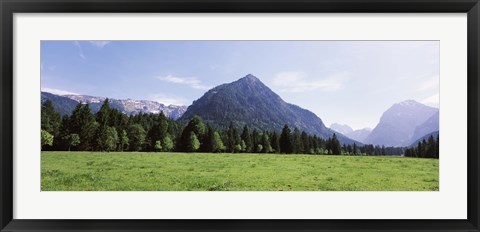 Framed Trees on a hill with mountain range in the background, Karwendel Mountains, Risstal Valley, Hinterriss, Tyrol, Austria Print