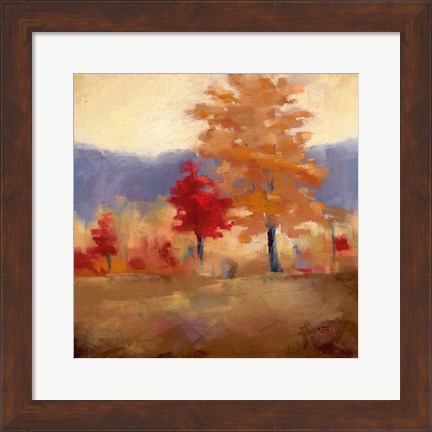 Framed Fall Splendor II Print