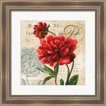 Framed Botanist Magazine Print