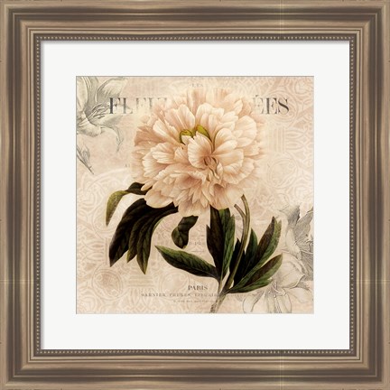 Framed White Peony II Print