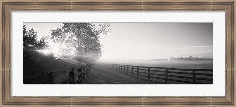 Framed Ranch at dawn, Woodford County, Kentucky, USA Print