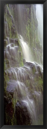 Framed Waterfall in a forest, Proxy Falls, Three Sisters Wilderness Area, Willamette National Forest, Oregon (black and white) Print