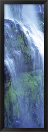 Framed Waterfall in a forest, Proxy Falls, Three Sisters Wilderness Area, Willamette National Forest, Lane County, Oregon Print