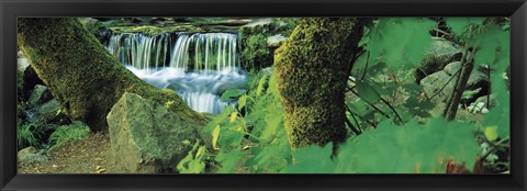 Framed Waterfall in a forest Print