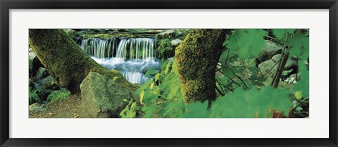 Framed Waterfall in a forest Print