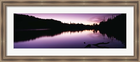 Framed Reflection of trees in a lake, Mt Rainier National Park, Washington State Print