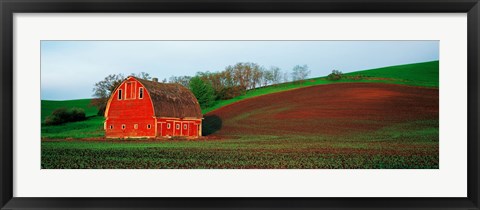 Framed Red Barn in a Field at Sunset, Washington State, USA Print