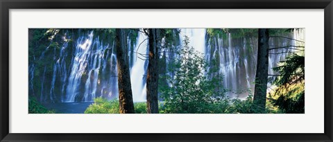 Framed Waterfall in a forest, McArthur-Burney Falls Memorial State Park, California Print