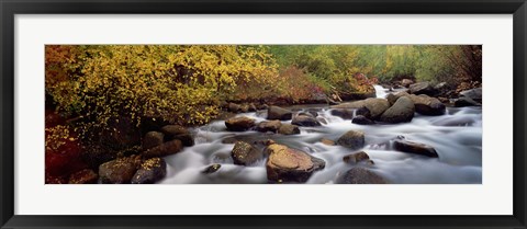 Framed Stream flowing through a forest, Inyo County, California, USA Print