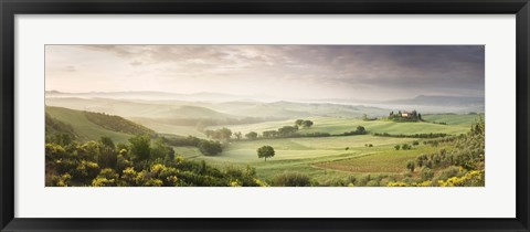 Framed Foggy field, Villa Belvedere, San Quirico d&#39;Orcia, Val d&#39;Orcia, Siena Province, Tuscany, Italy Print