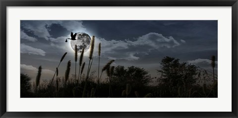 Framed Stork with a baby flying over moon Print