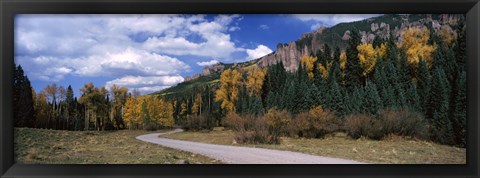 Framed Road passing through a forest, Jackson Guard Station, Ridgway, Colorado, USA Print