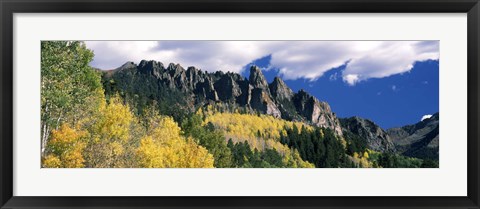 Framed Forest on a mountain, Jackson Guard Station, Ridgway, Colorado, USA Print