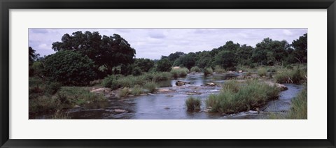 Framed Sabie River, Kruger National Park, South Africa Print