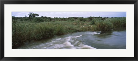 Framed River flowing through a forest, Sabie River, Kruger National Park, South Africa Print