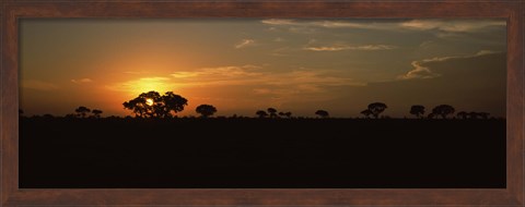 Framed Sunset over the savannah plains, Kruger National Park, South Africa Print